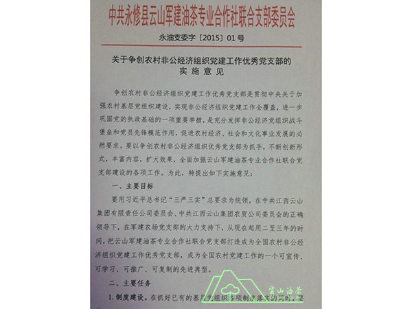 聯合支部工作意見