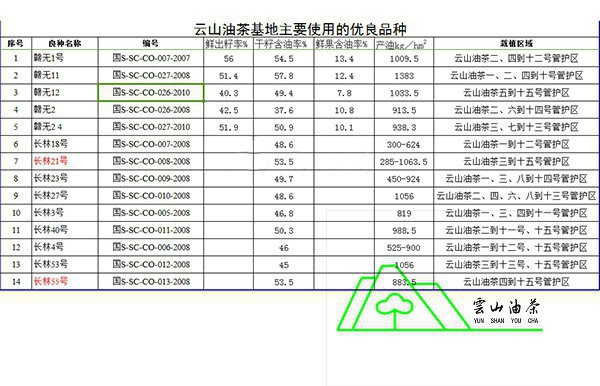 云山油茶良種