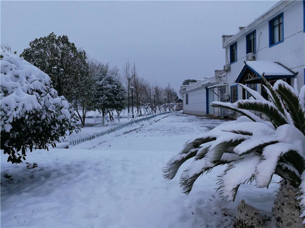 雪景